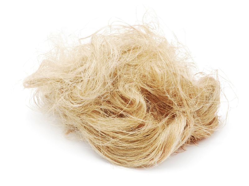 حوله با الیاف گیاهی کنف